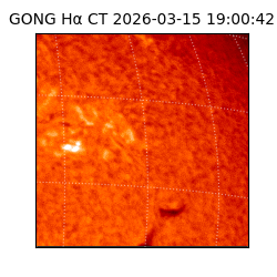 gong - 2026-03-15T19:00:42