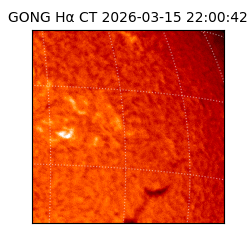 gong - 2026-03-15T22:00:42