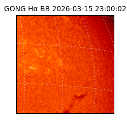 gong - 2026-03-15T23:00:02