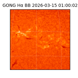 gong - 2026-03-15T01:00:02