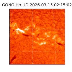 gong - 2026-03-15T02:15:02