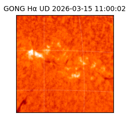 gong - 2026-03-15T11:00:02