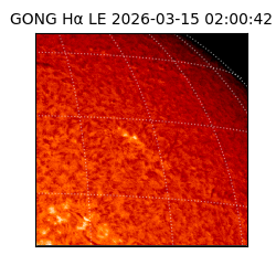 gong - 2026-03-15T02:00:42