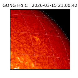 gong - 2026-03-15T21:00:42