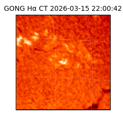 gong - 2026-03-15T22:00:42