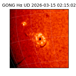 gong - 2026-03-15T02:15:02