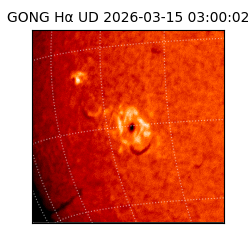 gong - 2026-03-15T03:00:02