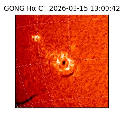 gong - 2026-03-15T13:00:42