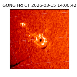 gong - 2026-03-15T14:00:42