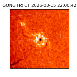 gong - 2026-03-15T22:00:42