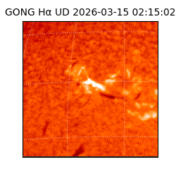 gong - 2026-03-15T02:15:02