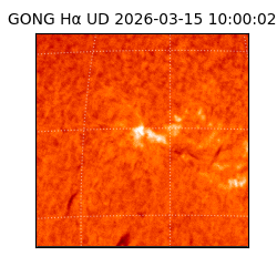 gong - 2026-03-15T10:00:02