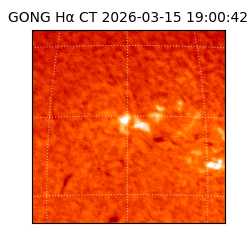 gong - 2026-03-15T19:00:42