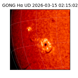 gong - 2026-03-15T02:15:02