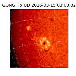 gong - 2026-03-15T03:00:02