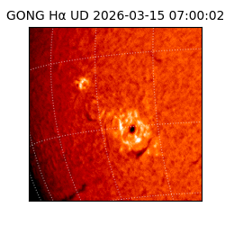 gong - 2026-03-15T07:00:02