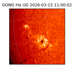 gong - 2026-03-15T11:00:02