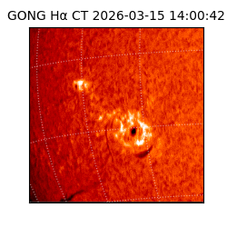 gong - 2026-03-15T14:00:42