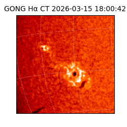 gong - 2026-03-15T18:00:42