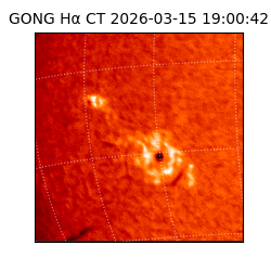 gong - 2026-03-15T19:00:42