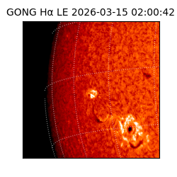 gong - 2026-03-15T02:00:42
