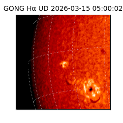 gong - 2026-03-15T05:00:02