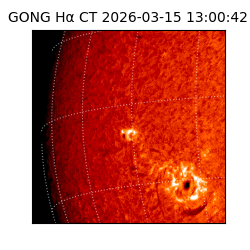 gong - 2026-03-15T13:00:42
