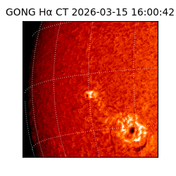 gong - 2026-03-15T16:00:42