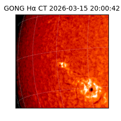 gong - 2026-03-15T20:00:42
