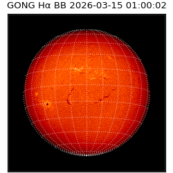 gong - 2026-03-15T01:00:02