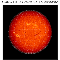 gong - 2026-03-15T08:00:02