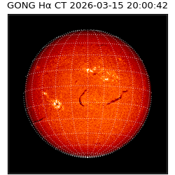 gong - 2026-03-15T20:00:42