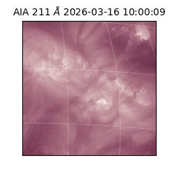 saia - 2026-03-16T10:00:09.638000