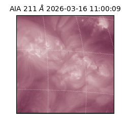 saia - 2026-03-16T11:00:09.623000