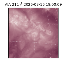 saia - 2026-03-16T19:00:09.623000