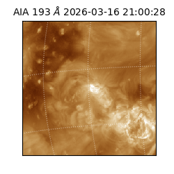 saia - 2026-03-16T21:00:28.842000