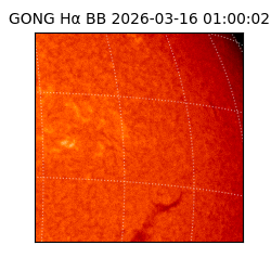 gong - 2026-03-16T01:00:02