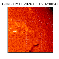 gong - 2026-03-16T02:00:42