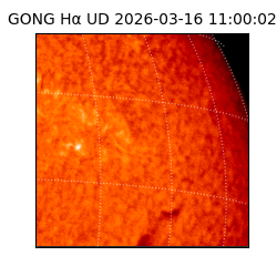 gong - 2026-03-16T11:00:02