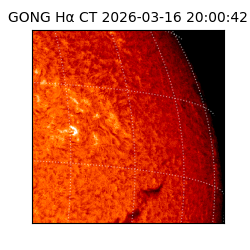 gong - 2026-03-16T20:00:42