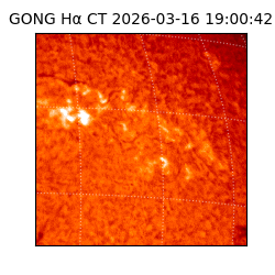 gong - 2026-03-16T19:00:42