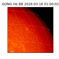 gong - 2026-03-16T01:00:02