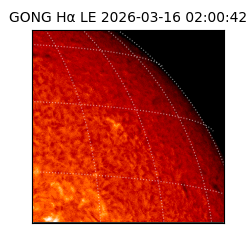 gong - 2026-03-16T02:00:42