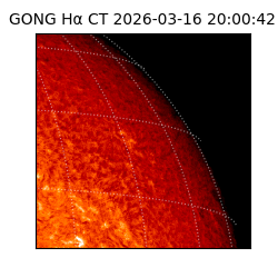 gong - 2026-03-16T20:00:42