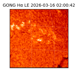 gong - 2026-03-16T02:00:42