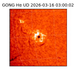 gong - 2026-03-16T03:00:02