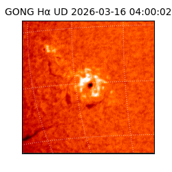 gong - 2026-03-16T04:00:02