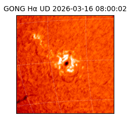 gong - 2026-03-16T08:00:02