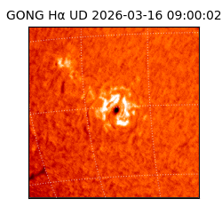 gong - 2026-03-16T09:00:02