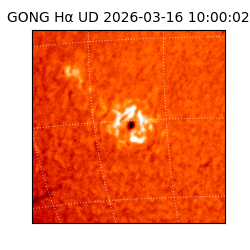 gong - 2026-03-16T10:00:02